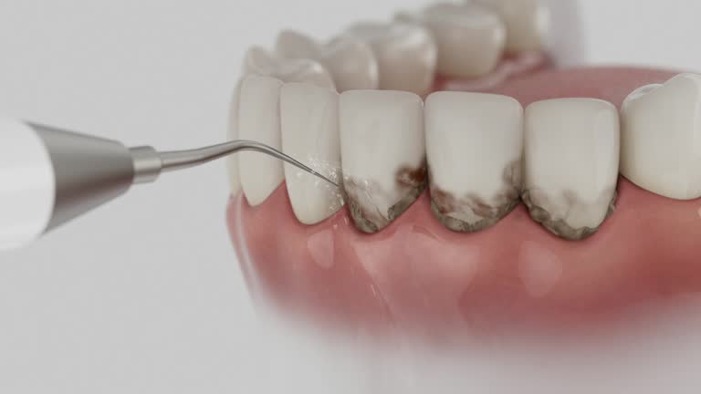 Reliable Dental contractor in North Charleston, SC by Dentist Open Now